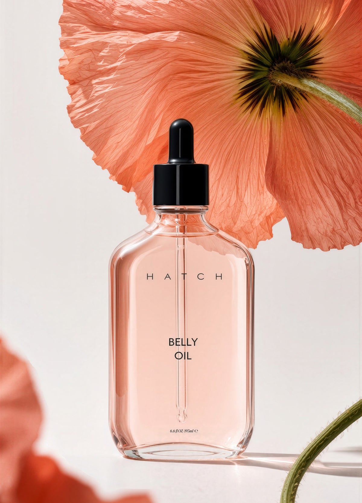 Transparent rectangular glass bottle with black dropper cap, labeled Hatch Belly Oil, soft peach liquid inside.